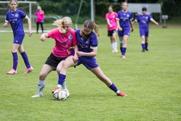 Bild 270 - wCJ VfL Pinneberg - Nordlichter im NSV : Ergebnis: 4:3